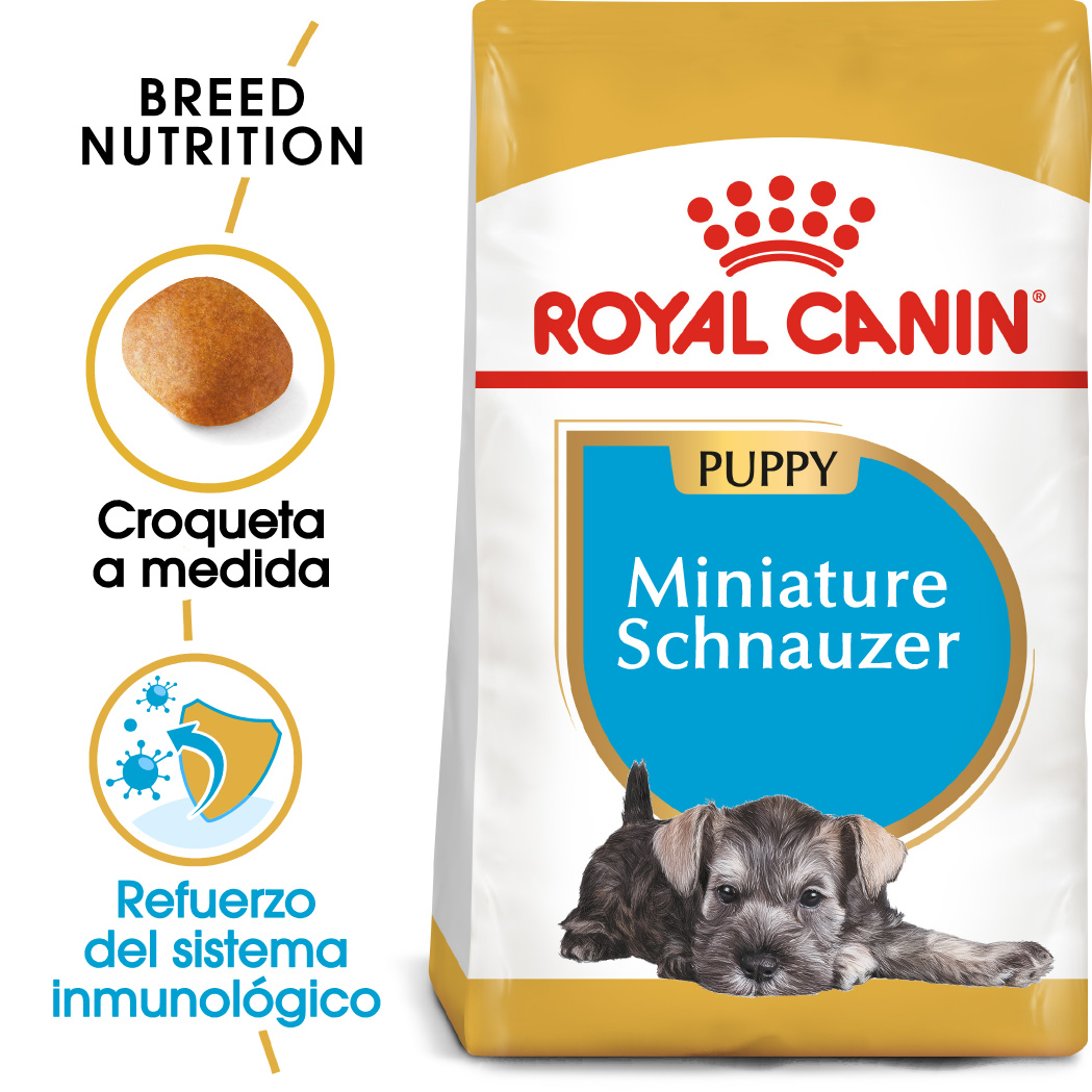 Miscota Royal Canin Cibo Secco per Cani Miniature Schnauzer Junior