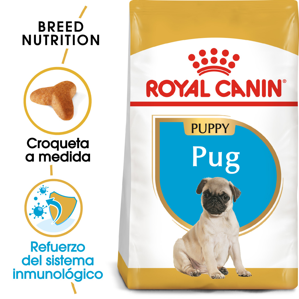 Miscota Royal Canin Cibo Secco per Cani Pug Junior