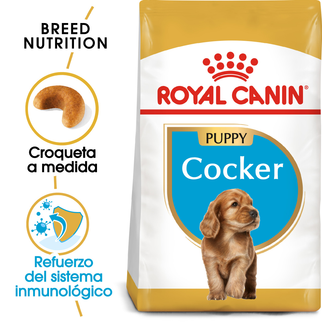 Miscota Royal Canin Cibo Secco per Cani Cocker Junior