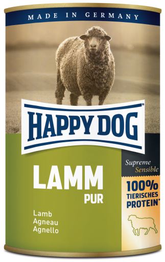 happy dog lamb
