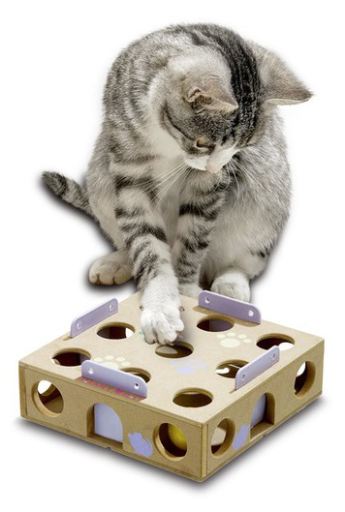 Smart &amp; Intelligenza Cat Toy - Box Activity 6 x 22 x 22 cm.