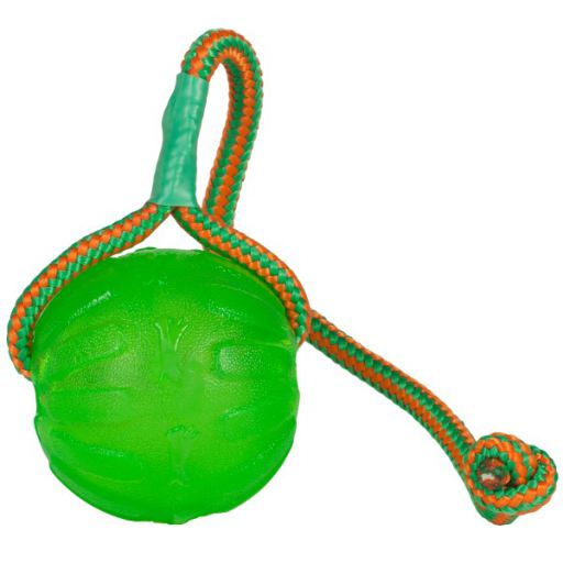 Treat Dispensing Chew Ball with Rope