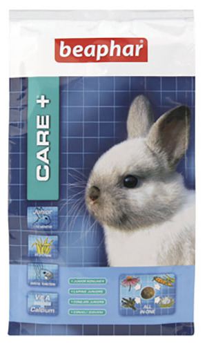 Care+ Conejo Junior