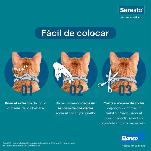 Bayer SERESTO Collare Gatto - Offerta 6 Collari : : Prodotti per  animali domestici