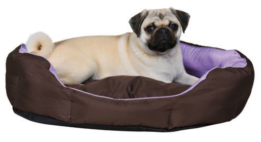 trixie dog bed