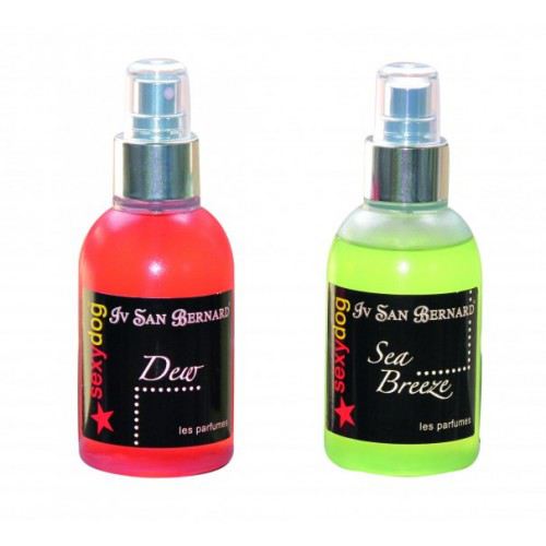 red dog perfume
