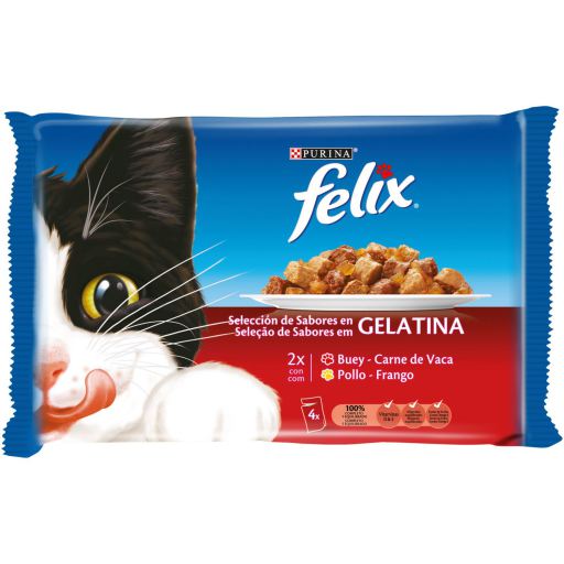 felix kitten food