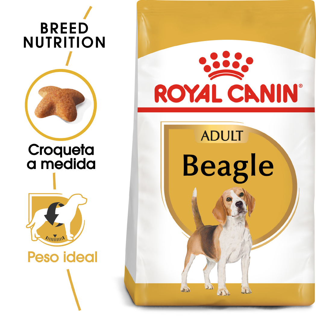 Miscota Royal Canin Beagle Adult