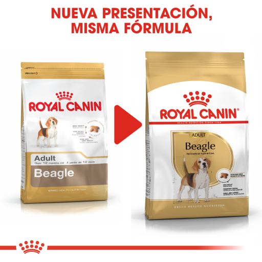 Goed doen Hoe Christian royal canin beagle review,yasserchemicals.com