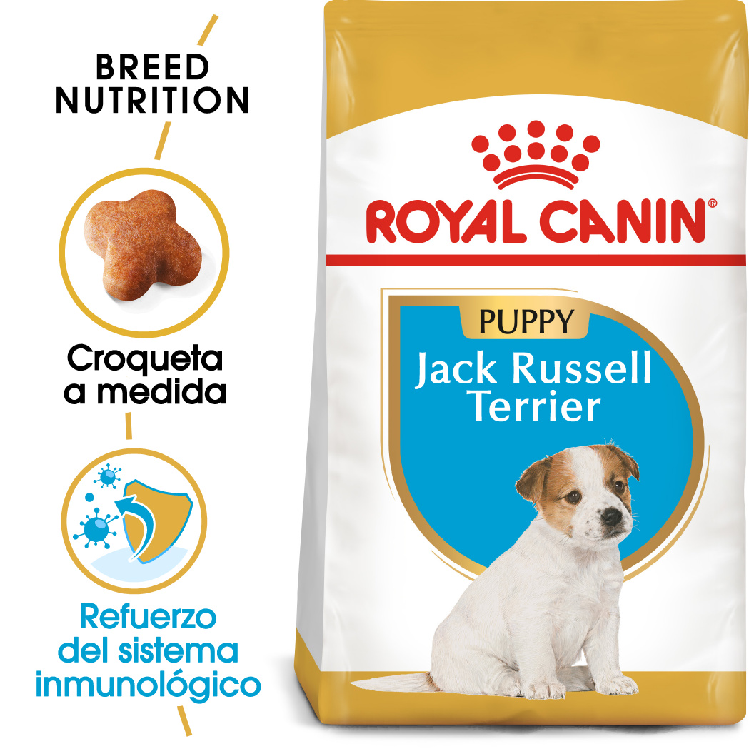 Miscota Royal Canin Cibo Secco per Cani Jack Russell Junior