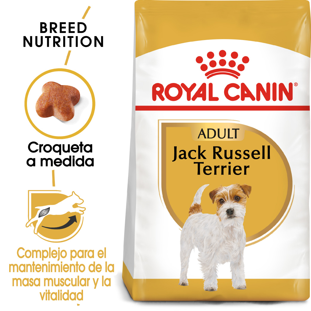 Miscota Royal Canin Cibo Secco per Cani Jack Russell Adult