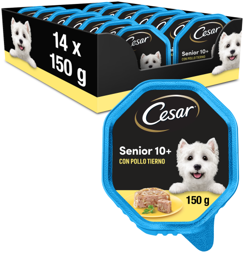 Wet Food for Senior Dogs in Pate with Chicken and Rice Tub