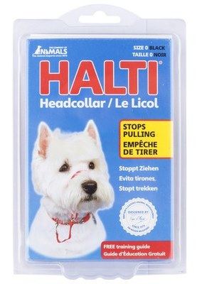 halti collar amazon