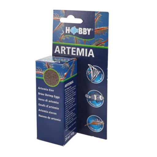Huevos de Artemia