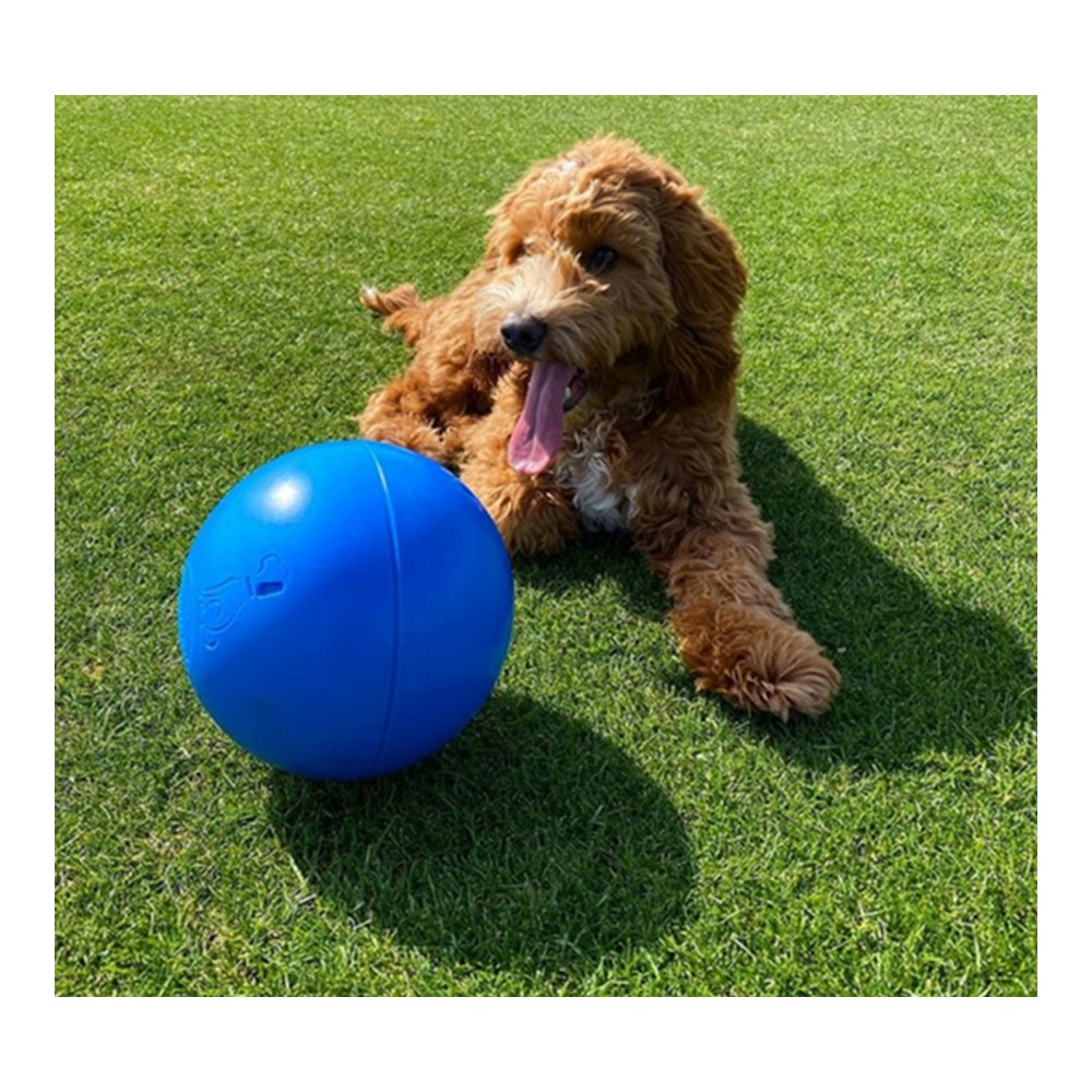 The Company Of Animals Boomer Ball Pelota para perro indestructible
