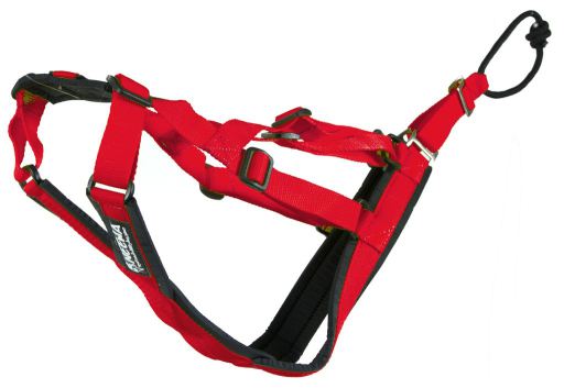 sled dog harness for bike