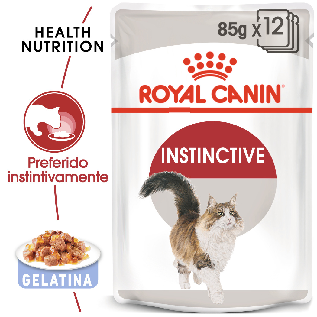 12x Royal Canin Instinctive Jelly Adult 85 gr