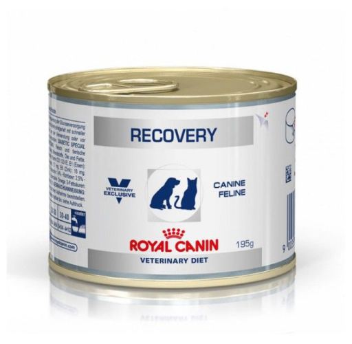 Royal canin recovery