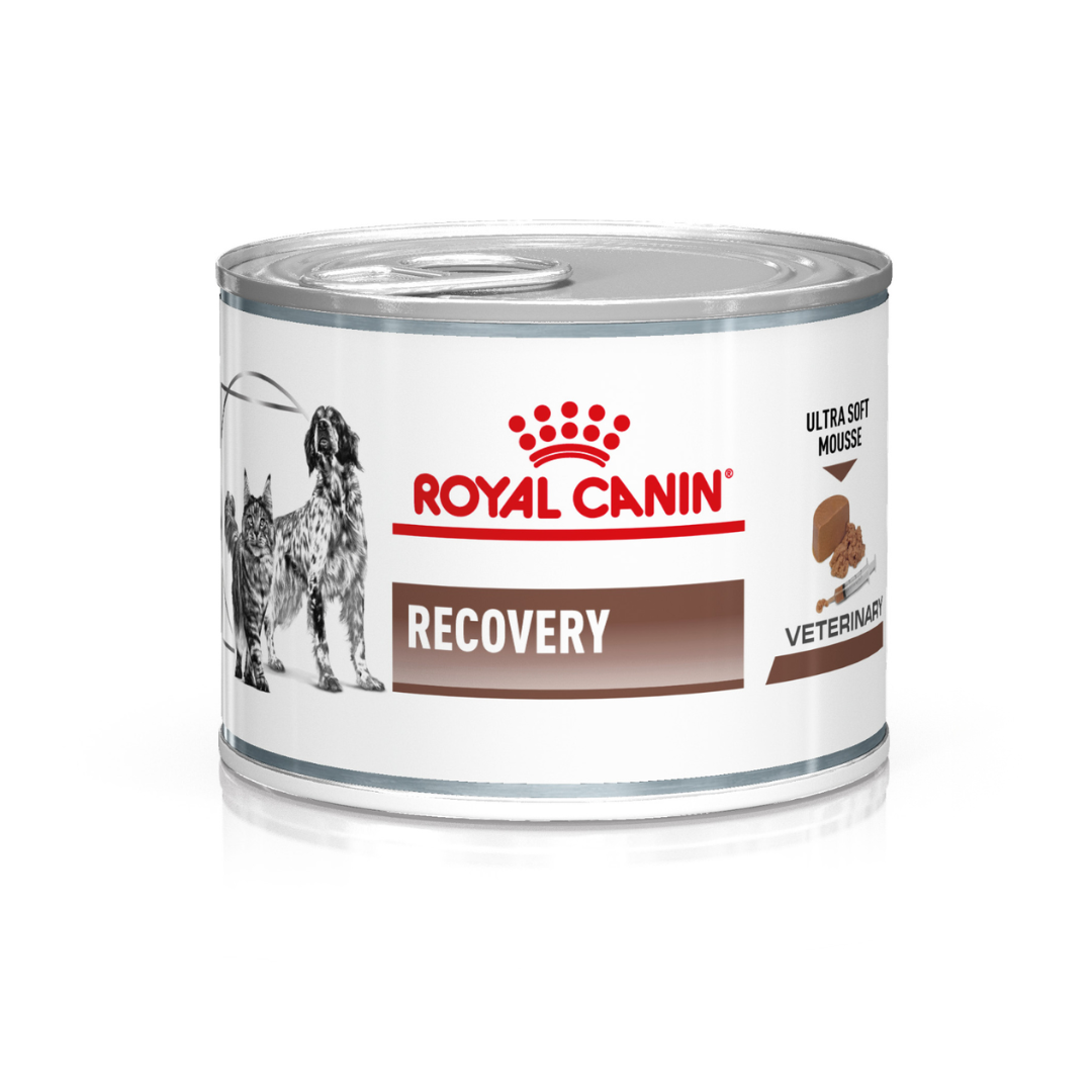 Miscota Pacco 12 Royal Canin Roya Canin Cibo Umido per Cani e Gatti Lattina Recovery