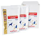 royal canin convalescence support