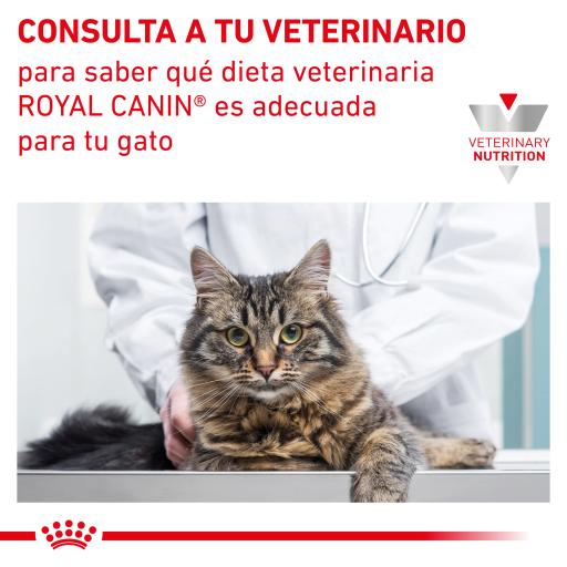 Royal canin feline hot sale skin & hairball