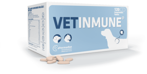 Vetinmune Helps Fight Infectious Processes