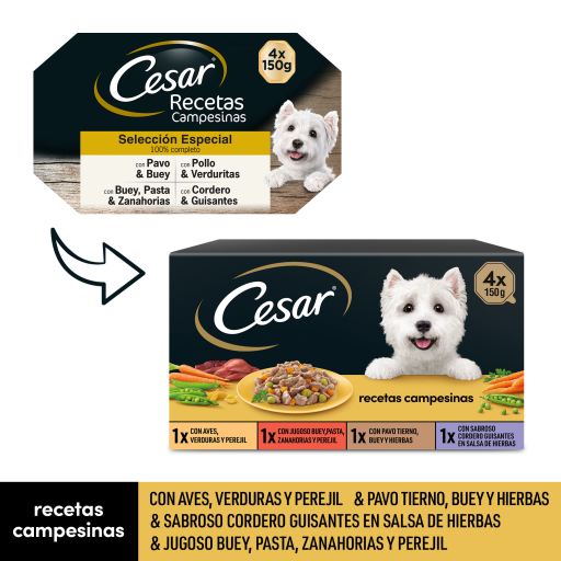 Cesar Multipack S&eacute;lection Sp&eacute;ciale de la Campagne en Sauce 4x150 gr