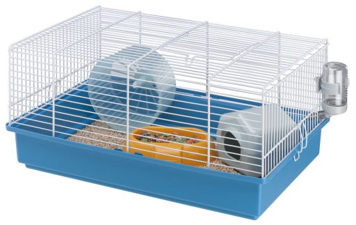Nagetiere Cage criceti 9