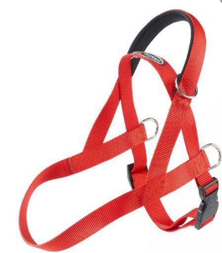 Ferplast harness best sale