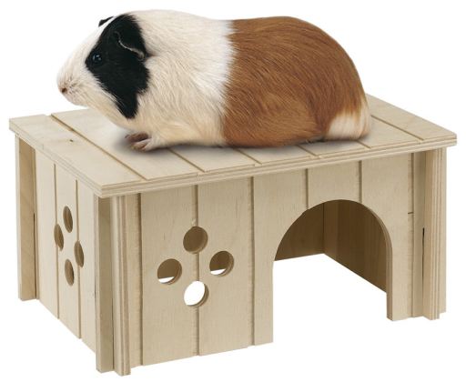 Pienso para conejos, jaulas y accesorios para roedores y roedores - Miscota