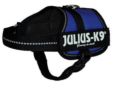 Julius K9 harness Blue