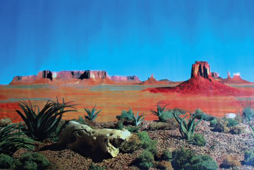 Trixie Terrarium R&uuml;ckwand Steppe / Savanne