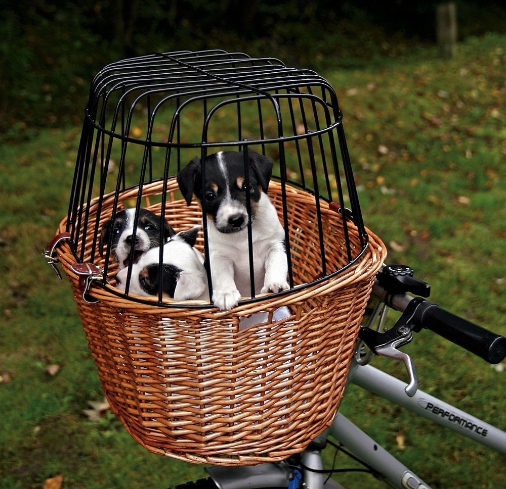 trixie dog basket for bike