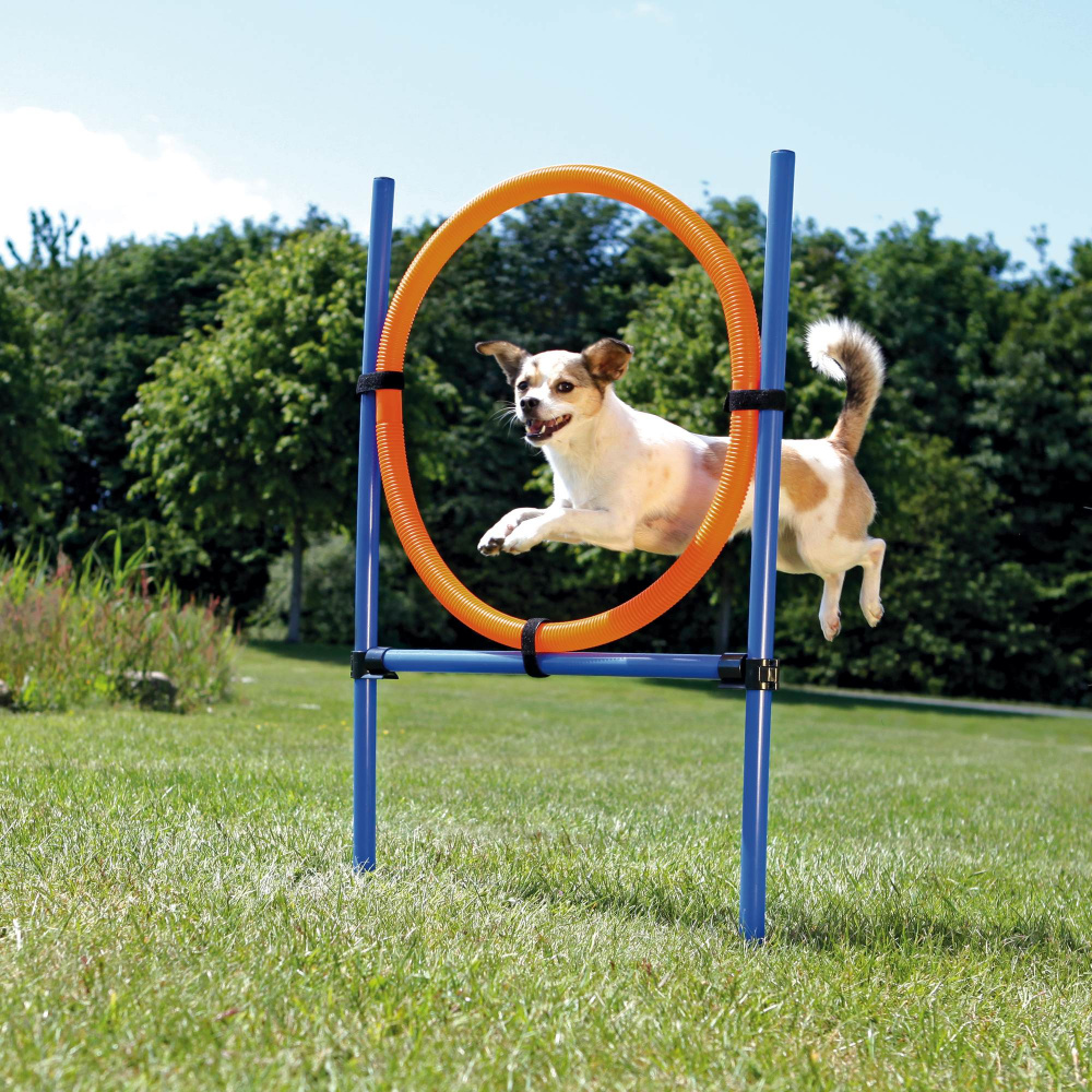 Miscota Trixie Salto Agility Ring 115 × 3Cm Ø Ø 65 cm