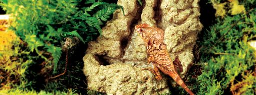 Exo Terra Exo Terra Quelle Pebble Sm