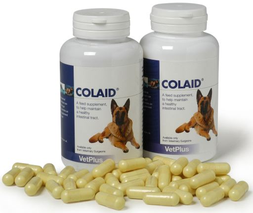 Colaid for Gastrointestinal Problems in Dogs