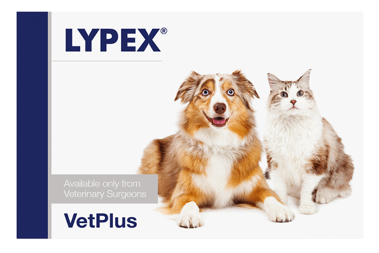 Miscota VetPlus Lypex per Problemi Pancreatici in Cani e Gatti