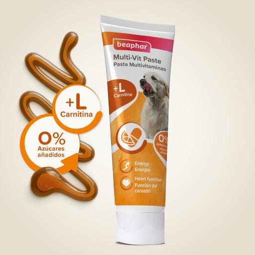 Beaphar multi vitamin hot sale paste for dogs