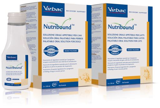 Nutribound for Recovery Periods in Cats