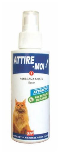 Chadog Atraeme Catnip Spray