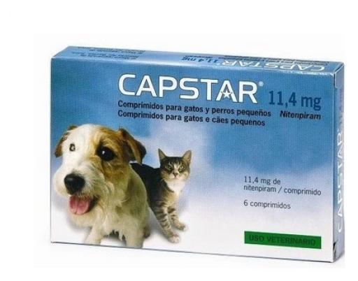 Capstar voor katten en kleine honden 11,4 mg