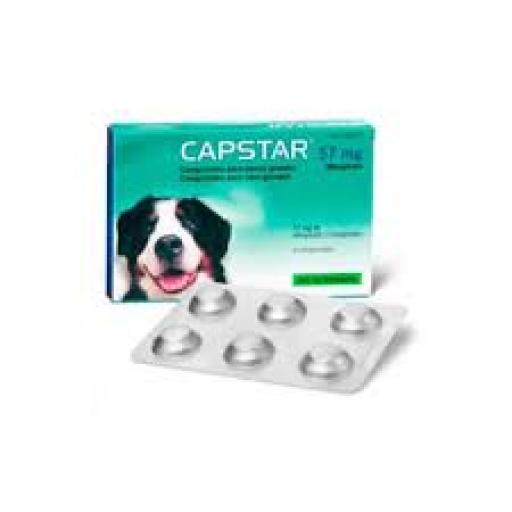 Capstar 57 mg für große Hunde