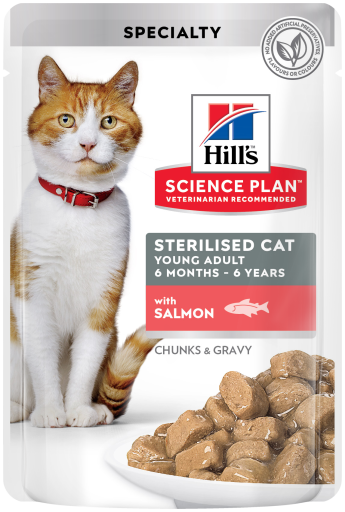 Hsp Sterilised Cat with Salmon