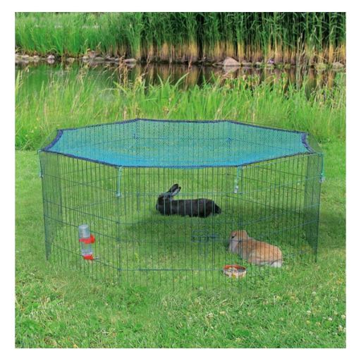 Outdoor Enclosure with Netting for Rabbits and Guinea Pigs