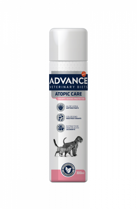 Miscota Advance Shampoo Cura Veterinaria Atopico