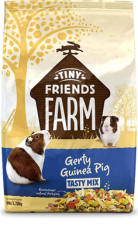 gerty guinea pig
