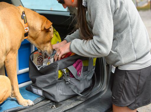 Ruffwear haul outlet bag