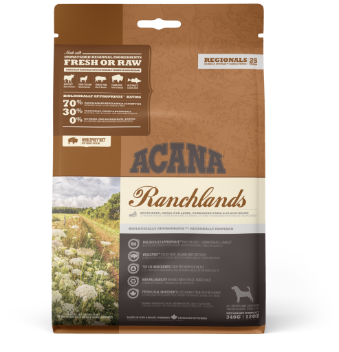 paris hilton dog clothes