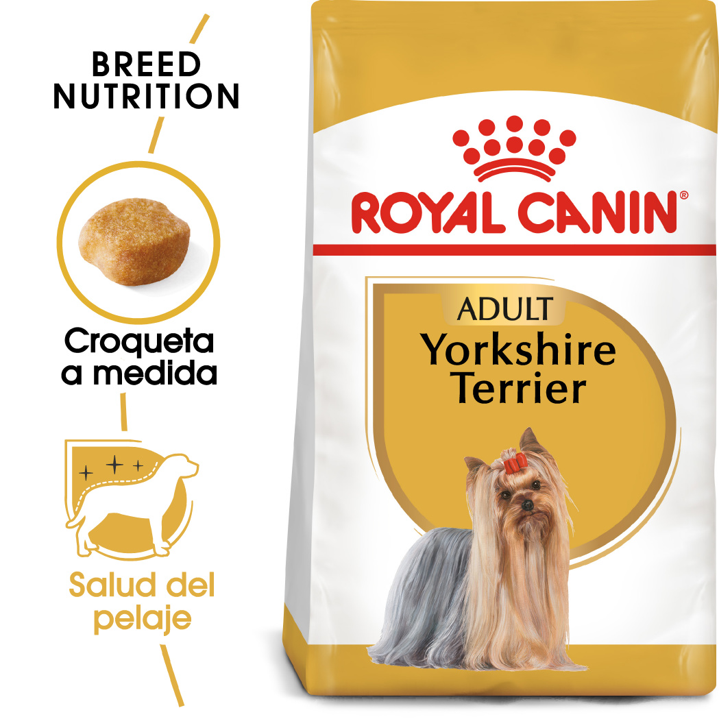 Miscota Royal Canin Yorkshire Terrier Adulto Cibo per Cani di Razza