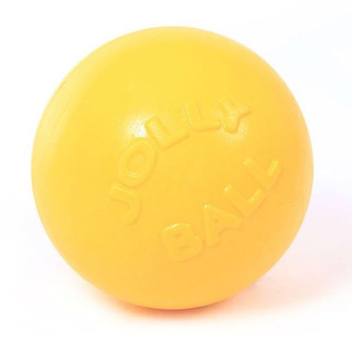 jolly pets ball